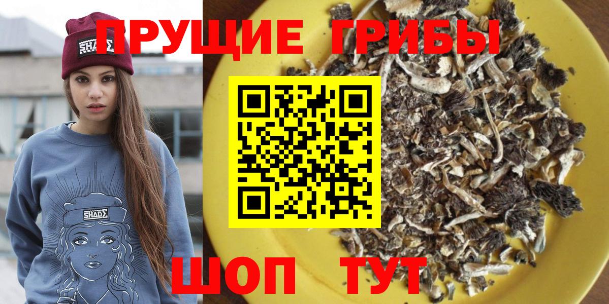 Псилоцибиновые грибы Magic Shrooms  Псилоцибиновые грибы Psilocybine cubensis  купить наркотики цена  Вход с VPN  Белая Калитва 